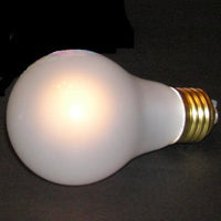 MAGIC LIGHT BULB - TRUTH INDICATOR